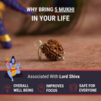 Original 5 Mukhi Rudraksha Mala with Lab Certificate
